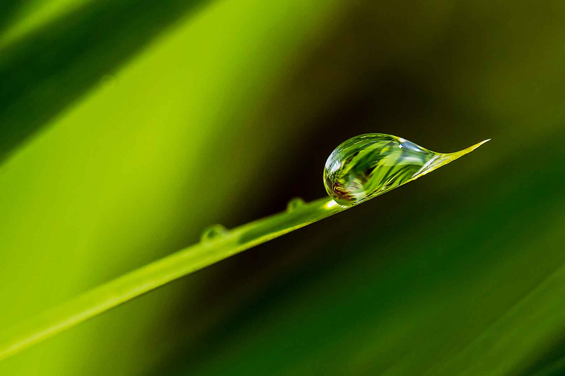 Photographer Pete Stevens